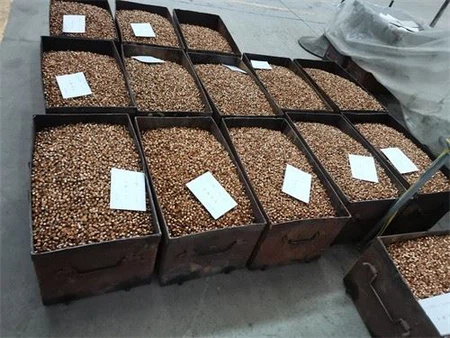 IMG_20210514_135909_